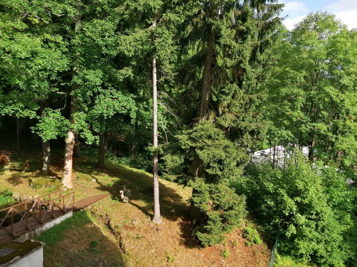 Parkhotel Forest Marianske Lazne Luaran gambar